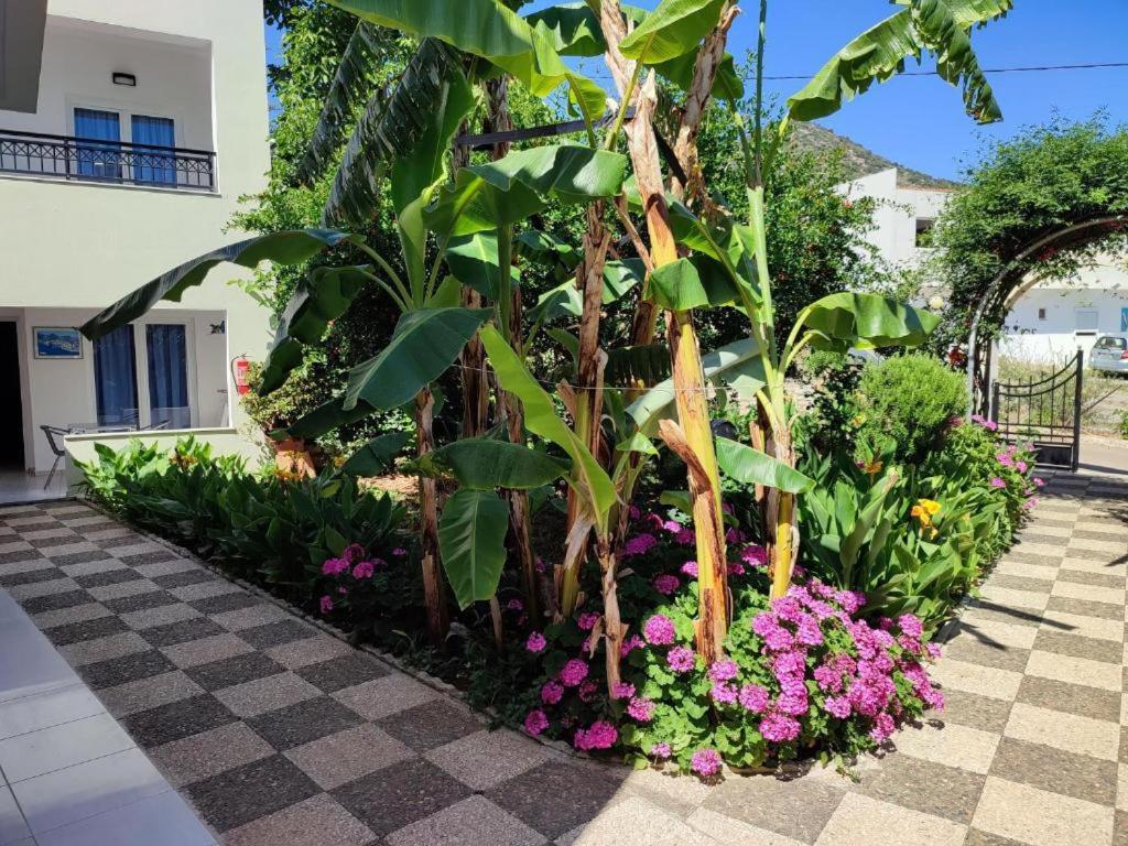 Dorian Bali Apartments Extérieur photo